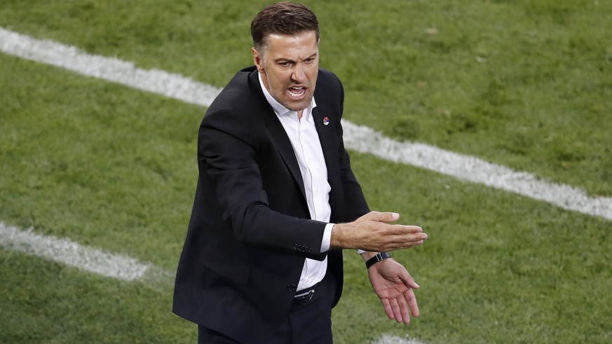 Serbia head coach Mladen Krstajic gestures during the group E match between Switzerland and Serbia at the 2018 soccer World Cup in the Kaliningrad Stadium in Kaliningrad, Russia, Friday, June 22, 2018 ...