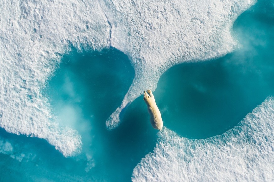 Der große Sieger für das beste Foto: Die Bylot-Insel im Sirmilik-Nationalpark, ist unmittelbar gegenüber dem Nordende der Baffininsel im Territorium Nunavut in Kanada. Hier fotografierte der Gewinner  ...