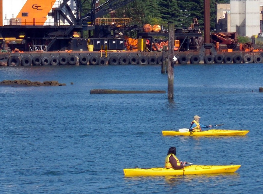 July 15, 2011 - Seattle, WA, USA - Kayakers make their way through the Duwamish River near Herring s House Park in Seattle, one of the most industrialized waterways in the state of Washington. A five- ...