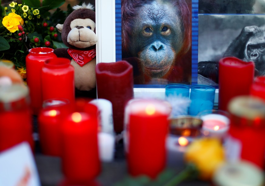 Candles and flowers are pictured outside the zoo of Krefeld after a monkey house burned down in Krefeld, Germany, January 1, 2020. REUTERS/Thilo Schmuelgen