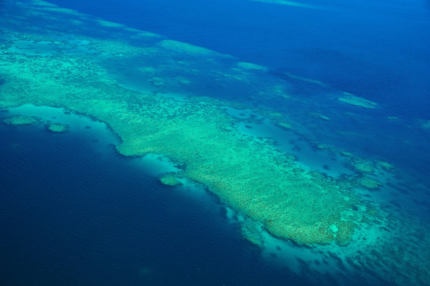 Great Barrier Reef, Coral Reef, Island, Overhead, Aerial, Panorama PUBLICATIONxNOTxINxCHN 195564567016767631