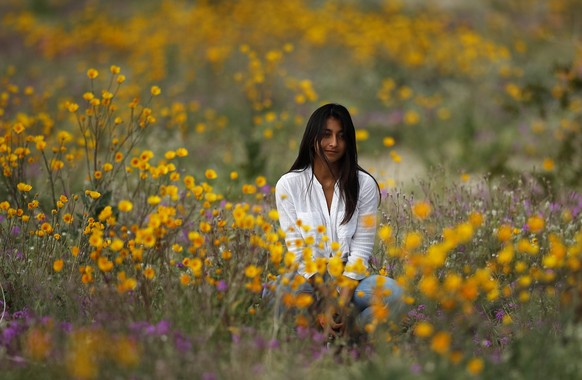 In this Wednesday, March 6, 2019, photo, a woman sits in a field of wildflowers in bloom near Borrego Springs, Calif. Two years after steady rains sparked seeds dormant for decades under the desert fl ...