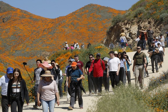 People walk among wildflowers in bloom Monday, March 18, 2019, in Lake Elsinore, Calif. About 150,000 people flocked over the weekend to see this year&#039;s rain-fed flaming orange patches of poppies ...