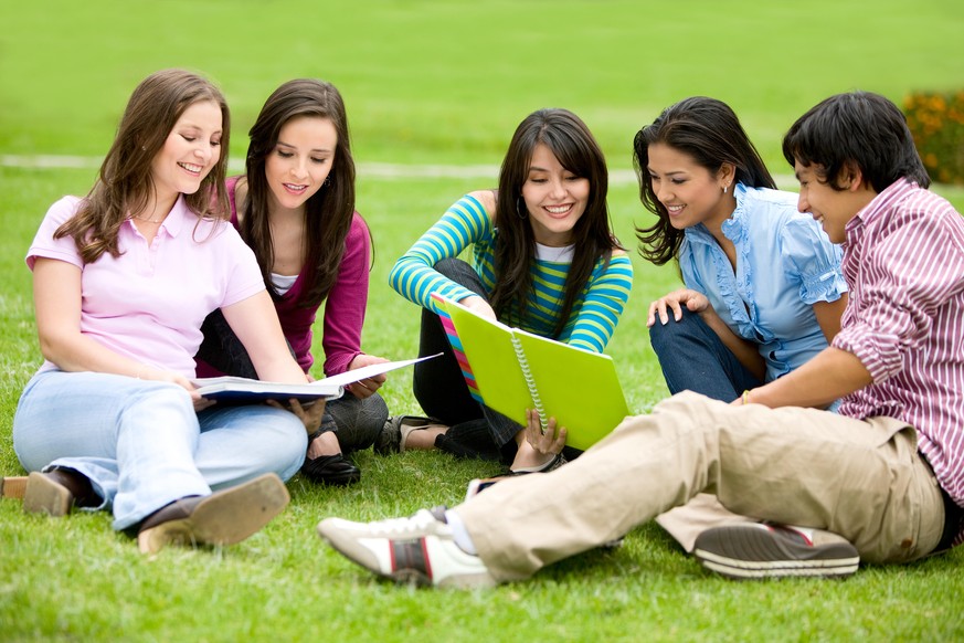 Studenten lernen auf einer Wiese im Park | college or university students smiling and studying outdoors | Verwendung weltweit