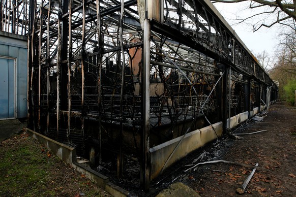 A burned monkey house is pictured in the zoo of Krefeld, Germany, January 1, 2020. REUTERS/Thilo Schmuelgen