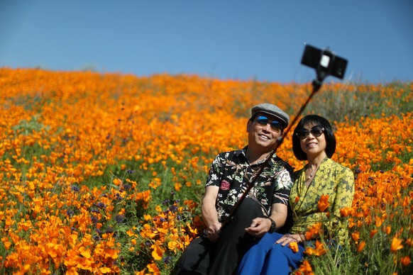 A couple takes a selfie photo in a super bloom of poppies in Lake Elsinore, California, U.S., February 27, 2019. REUTERS/Lucy Nicholson
