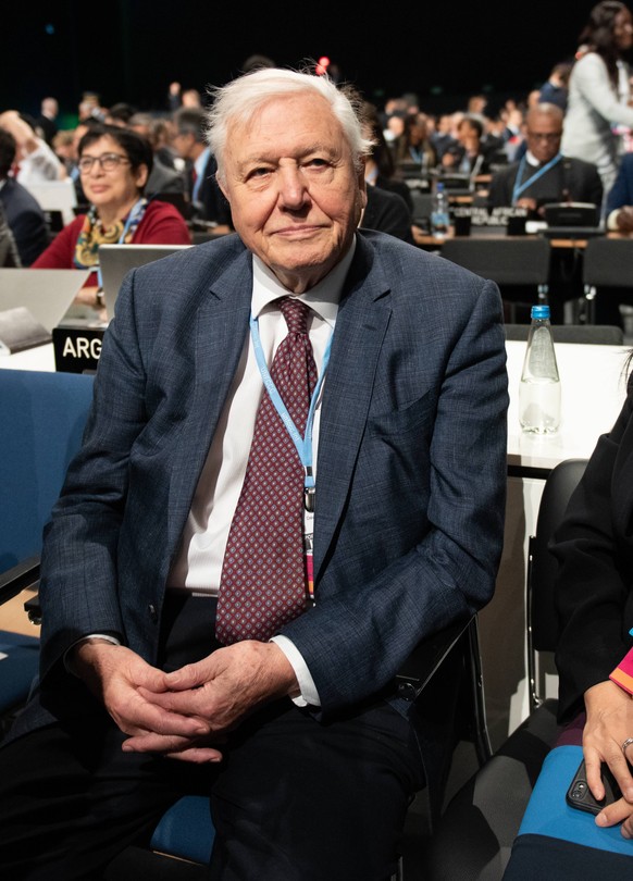 03.12.2018 - Katowice , Poland . United Nations Climate Change Conference COP 24 . Konferencja Klimatyczna ONZ COP 24 . On the picture: Sir David Frederick Attenborough on Opening ceremony / Otwarcie  ...